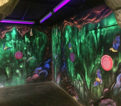 Entering A Cave of Bats