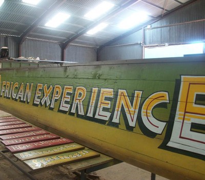 Africa Experience