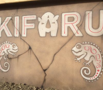 Kifaru with Chameleons