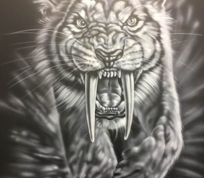Sabre Tooth
