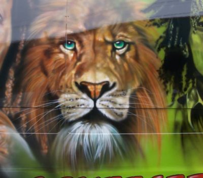 Lion on a Van