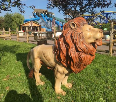 Lion in the Park
