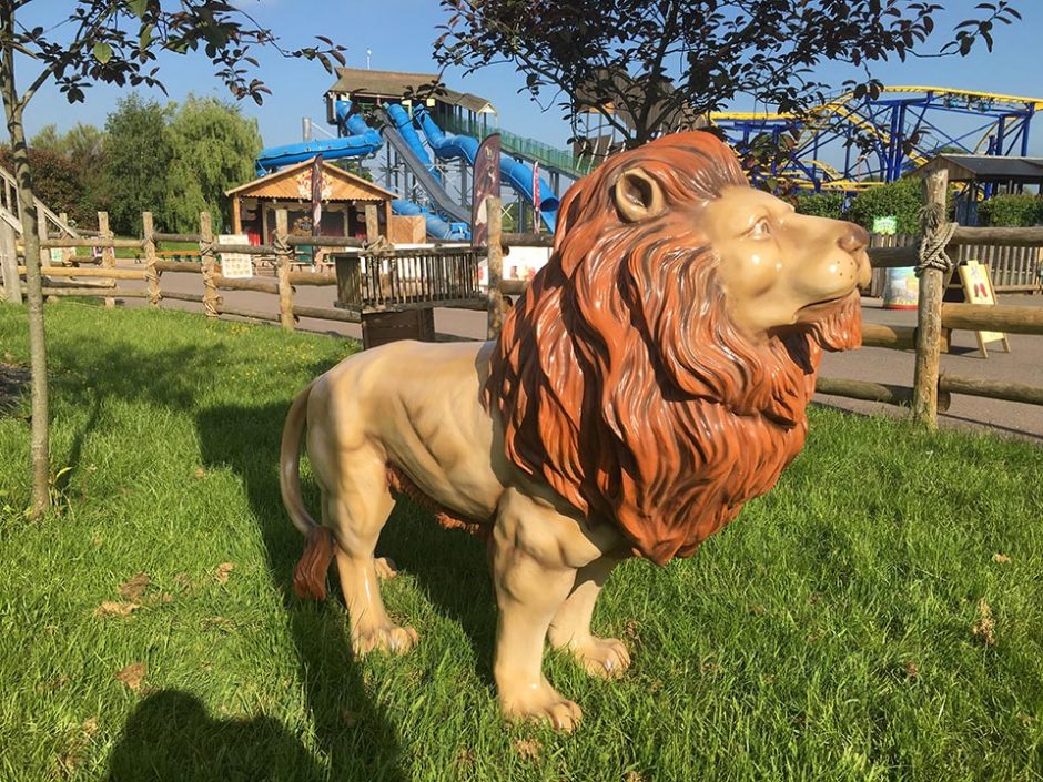 Lion in the Park