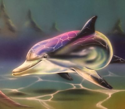 Dolphin Under Sunlight