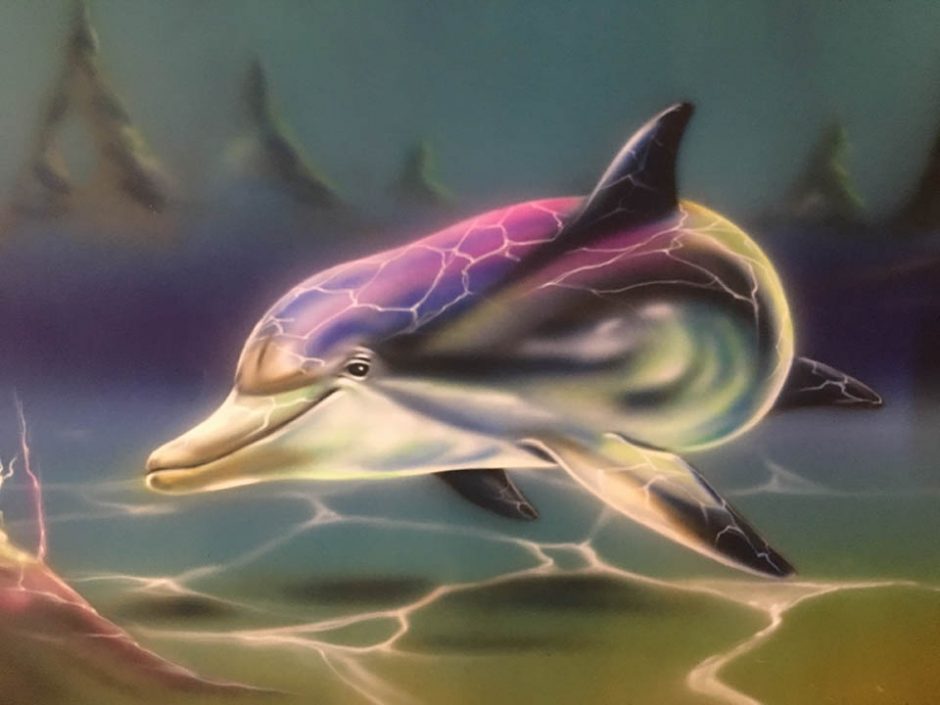Dolphin Under Sunlight