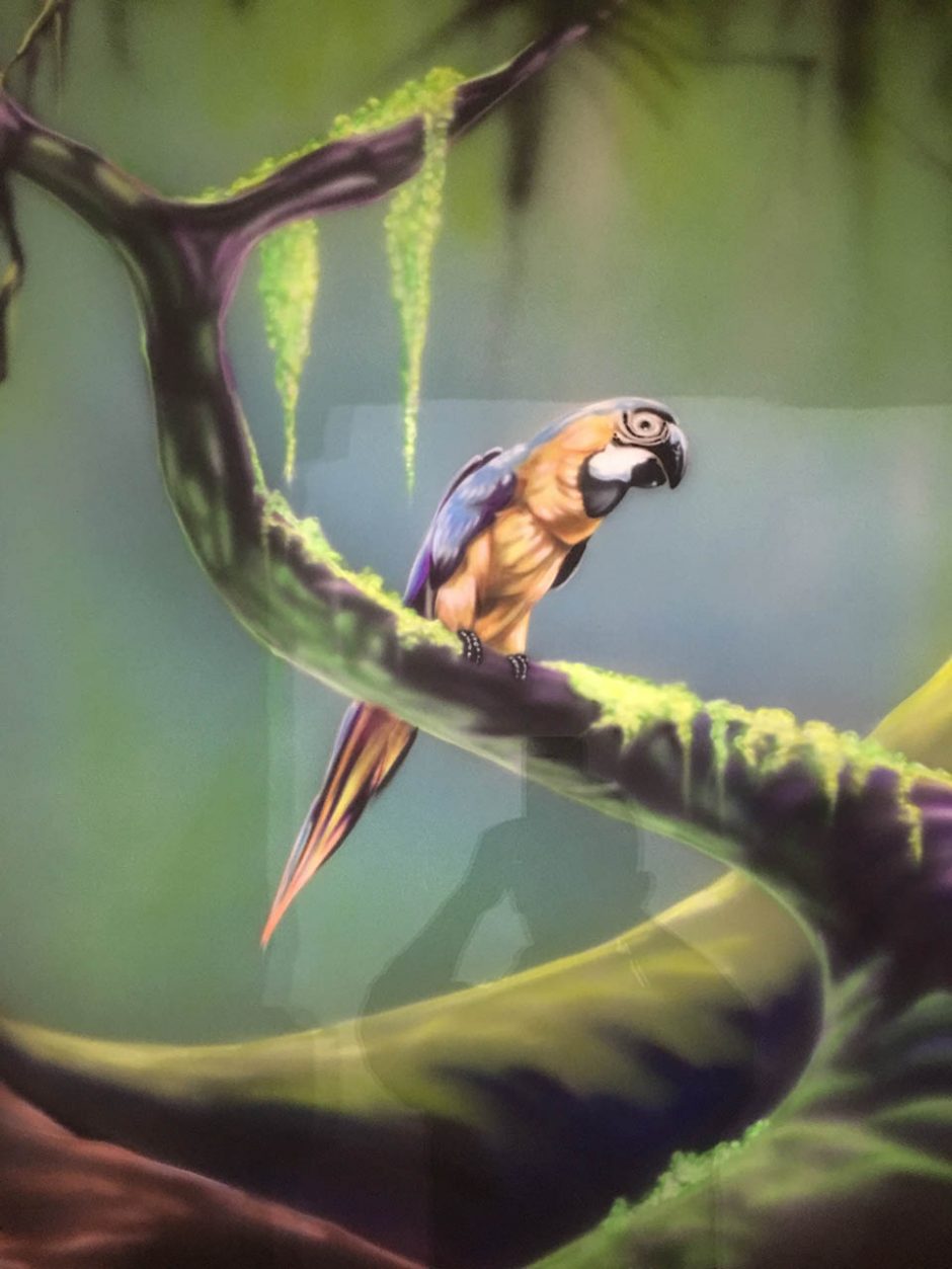 Parrot