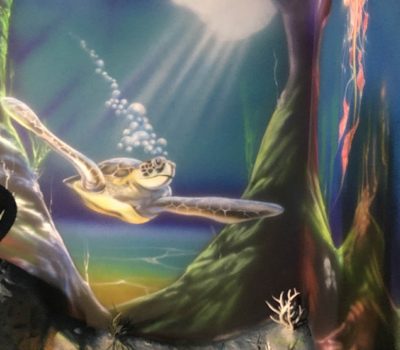 Sea Turtle