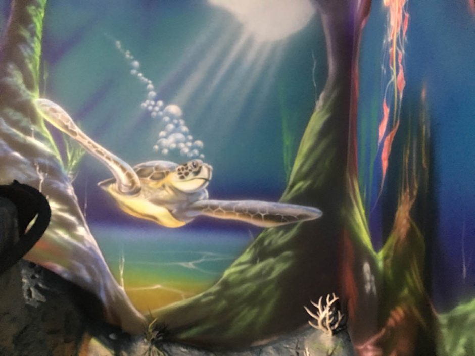 Sea Turtle