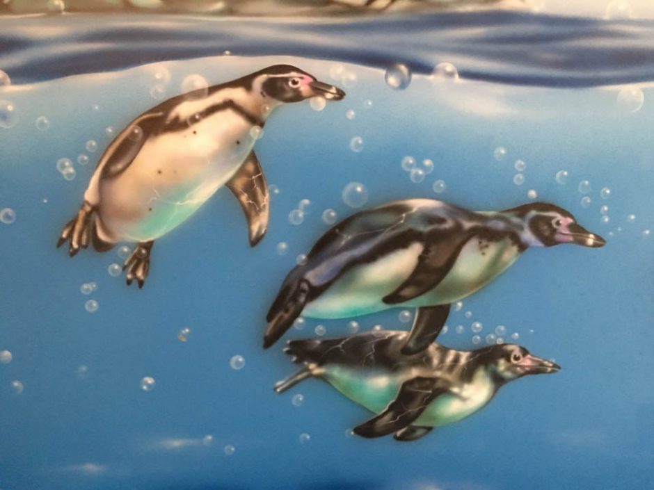 Penguin Family Swimming