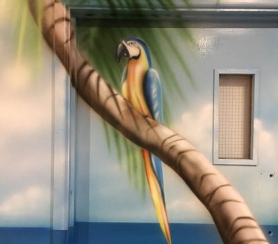Parrot on a Palm Tree