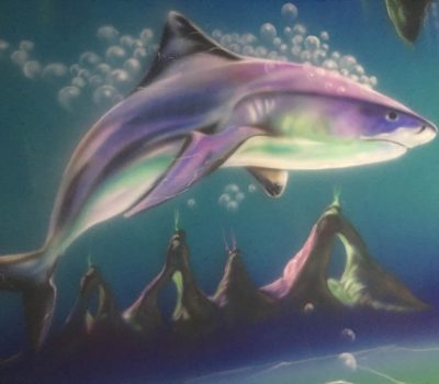 Shark