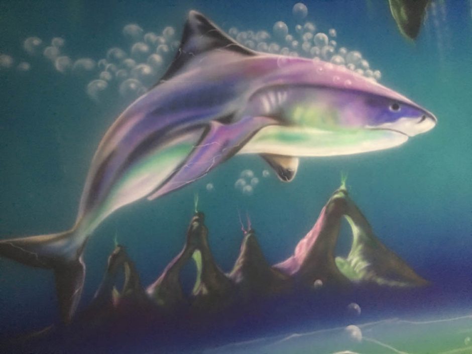 Shark