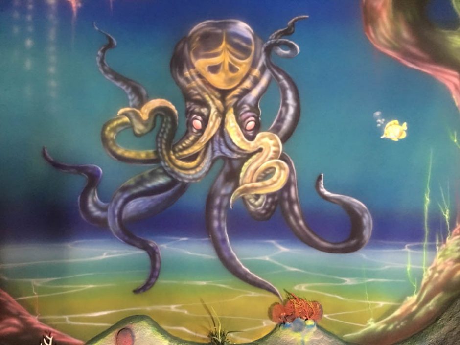 Deep Sea Octopus
