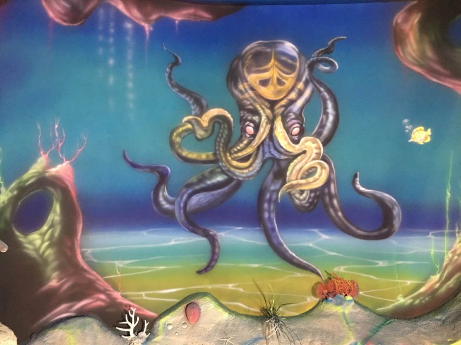 Octopus and the seabed