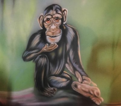Chimpanzee