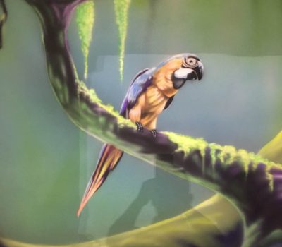 Parrot in a Forest