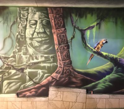 The Parrot and The Lost City