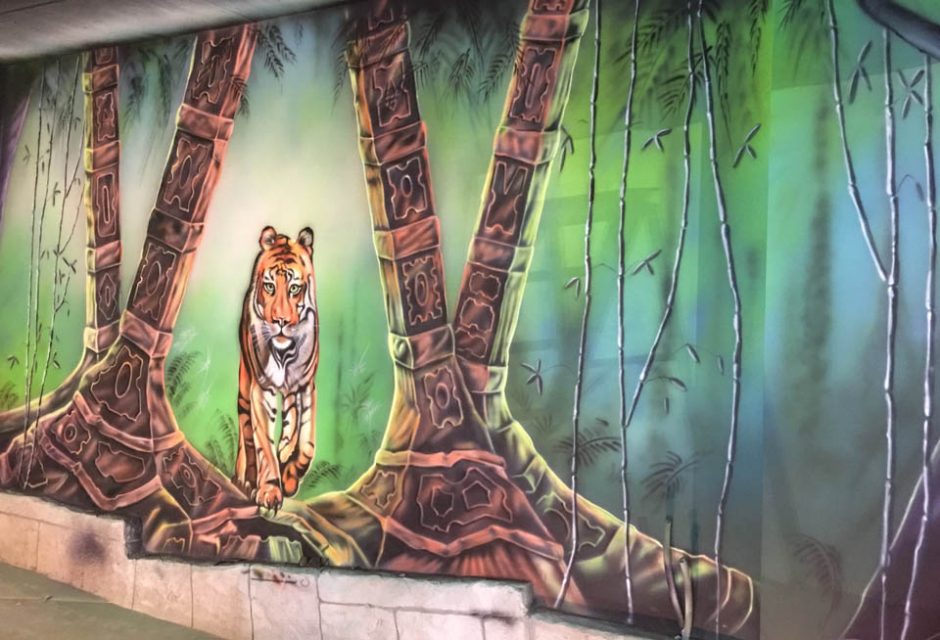 Tiger strolling In