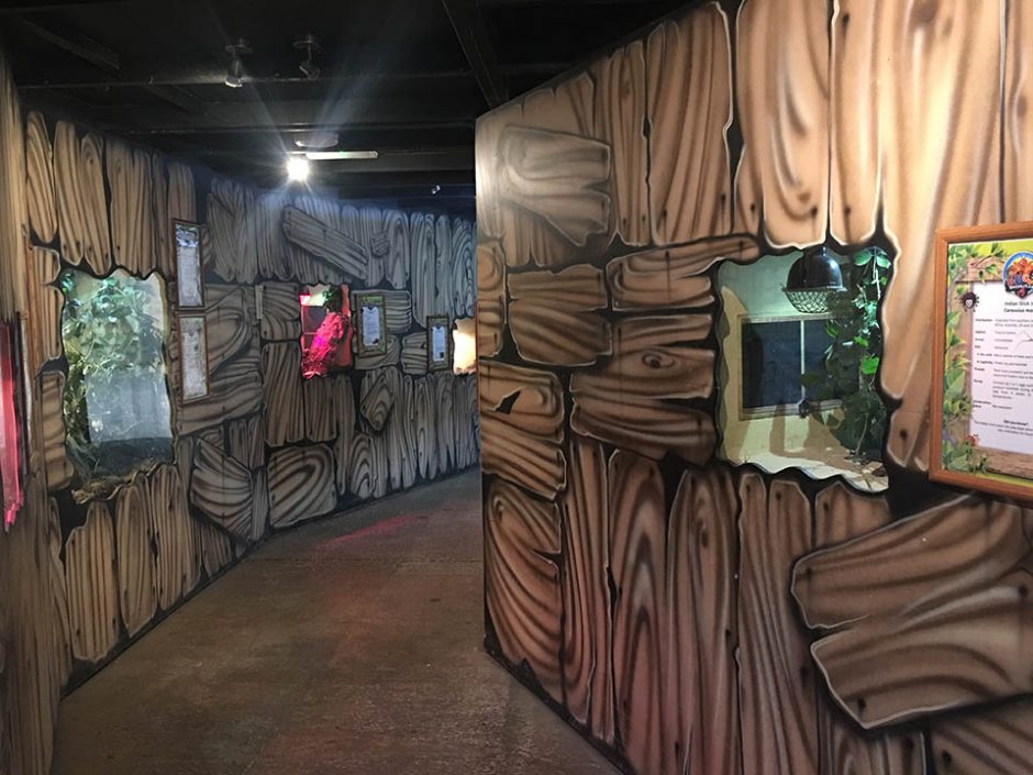 Themed Wood Effect Part 2