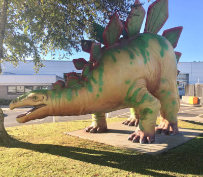 Stegosaurus