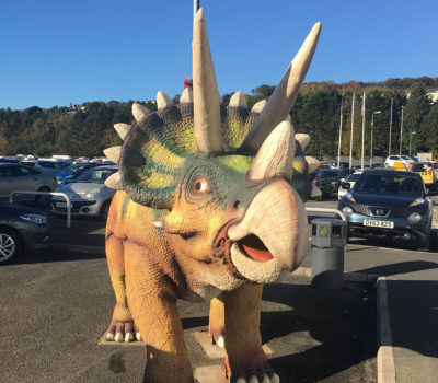 Triceratops