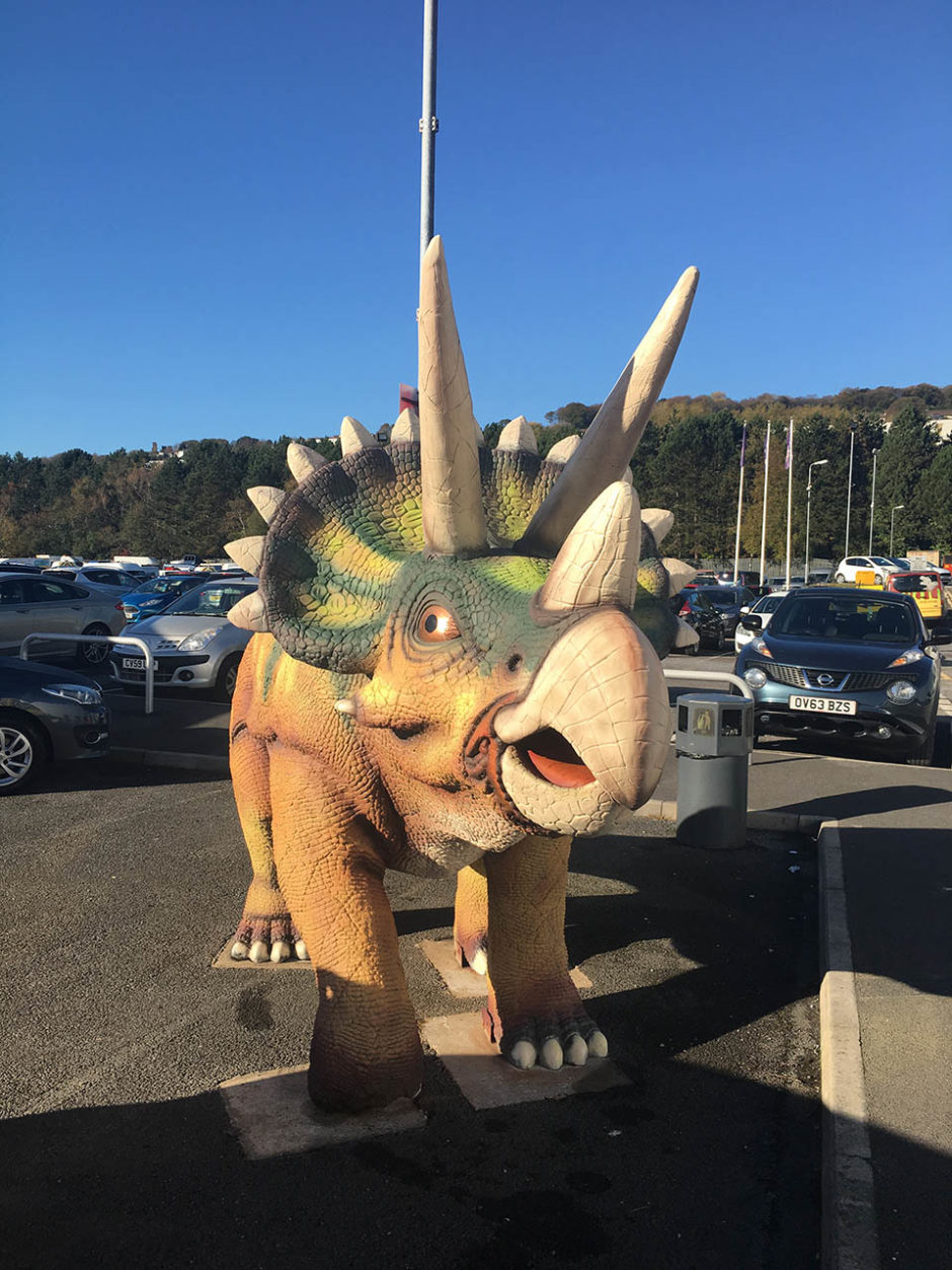 Triceratops