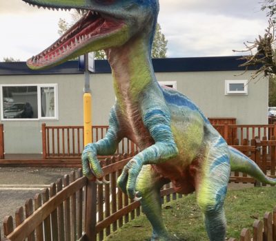 The Raptor