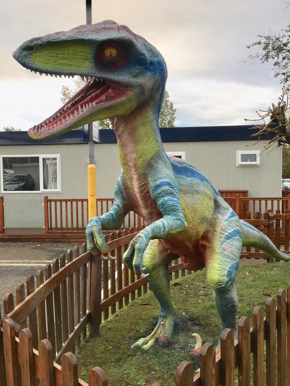 The Raptor