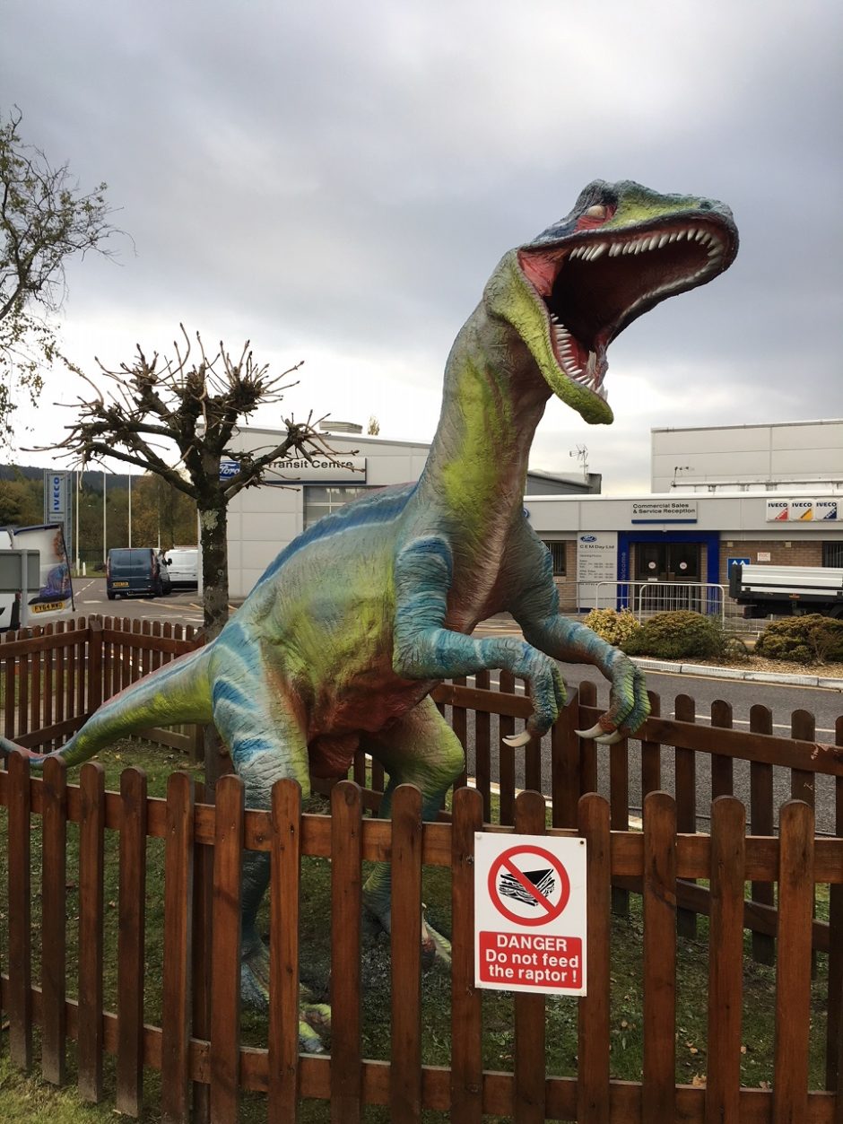 The Angry Raptor