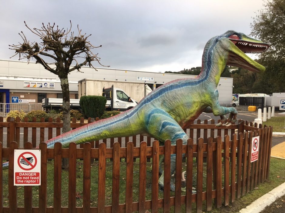 Do Not Feed This Raptor
