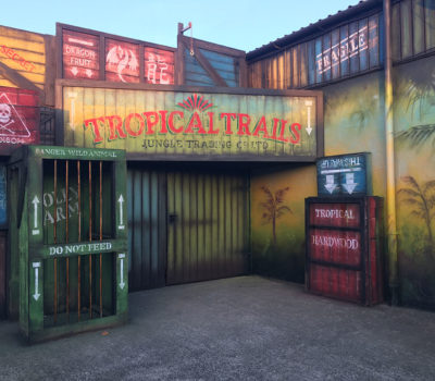 Jungle Trading