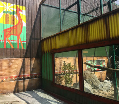 Themed Animal Enclosure