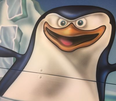 Penguin Up Close