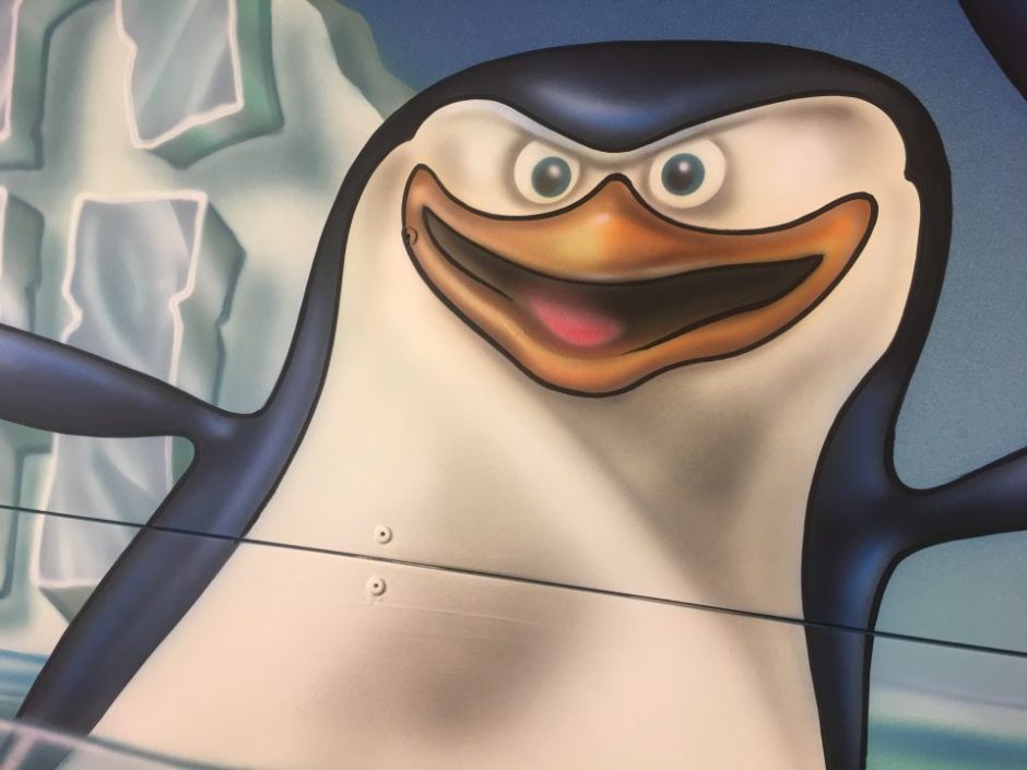 Penguin Up Close